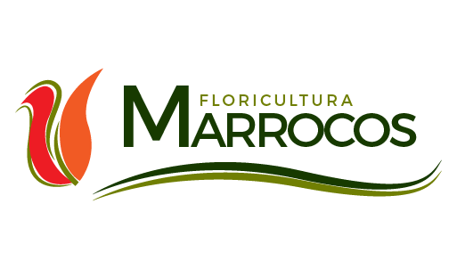 Floricultura Marrocos